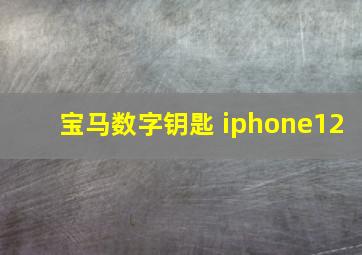 宝马数字钥匙 iphone12